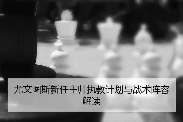 you-wen-tu-si-xin-ren-zhu-shuai-zhi-jiao-ji-hua-yu-zhan-shu-zhen-rong-jie-du-2-617.jpg