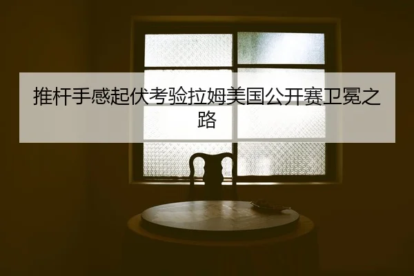 tui-gan-shou-gan-qi-fu-kao-yan-la-mu-mei-guo-gong-kai-sai-wei-mian-zhi-lu-2-237.jpg